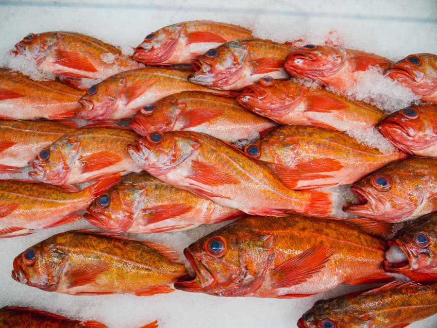 Il banco del pesce con il pescato del giorno adagiato sul ghiaccio